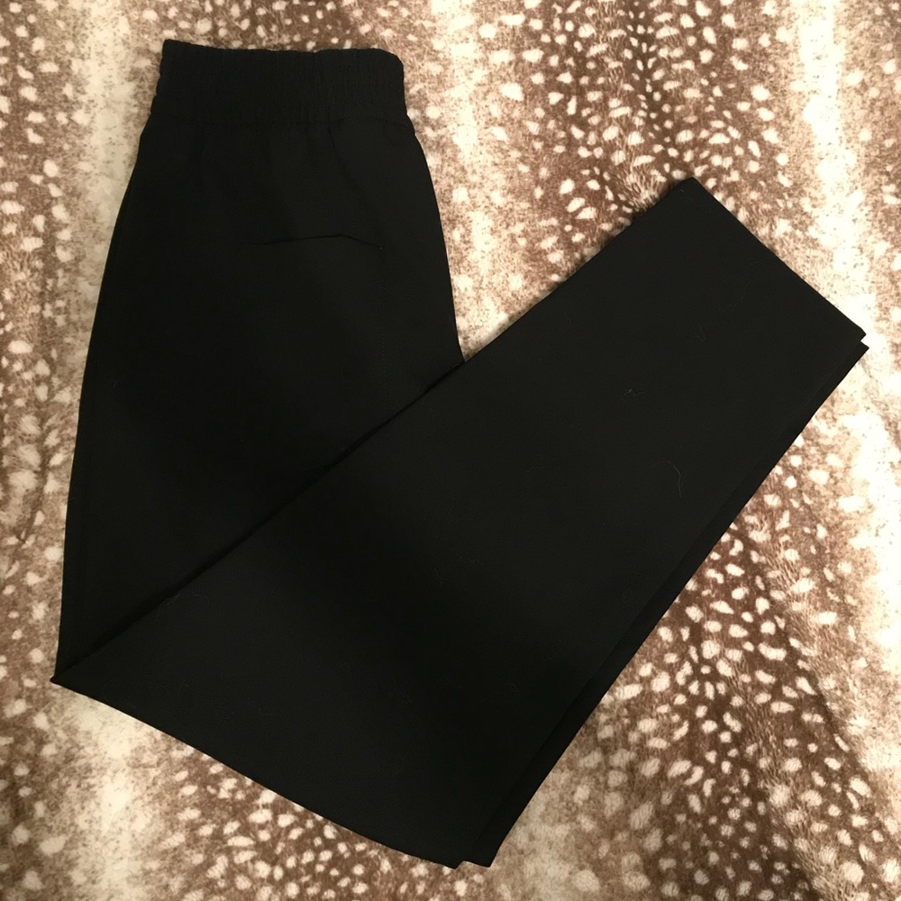 LAST CHANCE! Zara High Waisted Pull On Ankle Pant